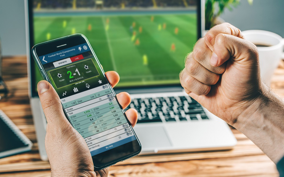 Insights into the Betting Strategies of Professional Sports Bettors